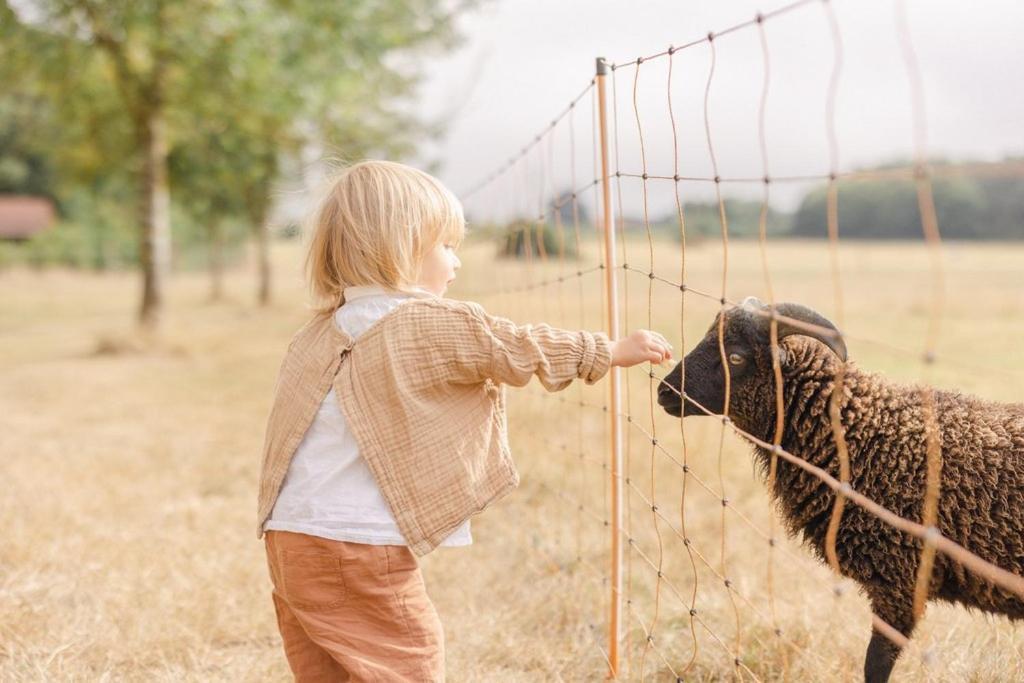 ホテル Domaine De L'Oiseliere Chauché エクステリア 写真